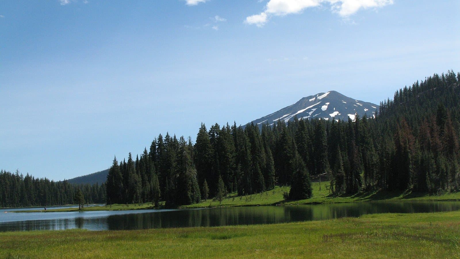 Mount Bachelor seen across Todd Lake meadow